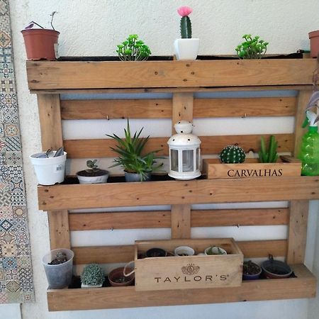 Santa Catarina Patio Apartment - With Washer Machine 波尔图 外观 照片