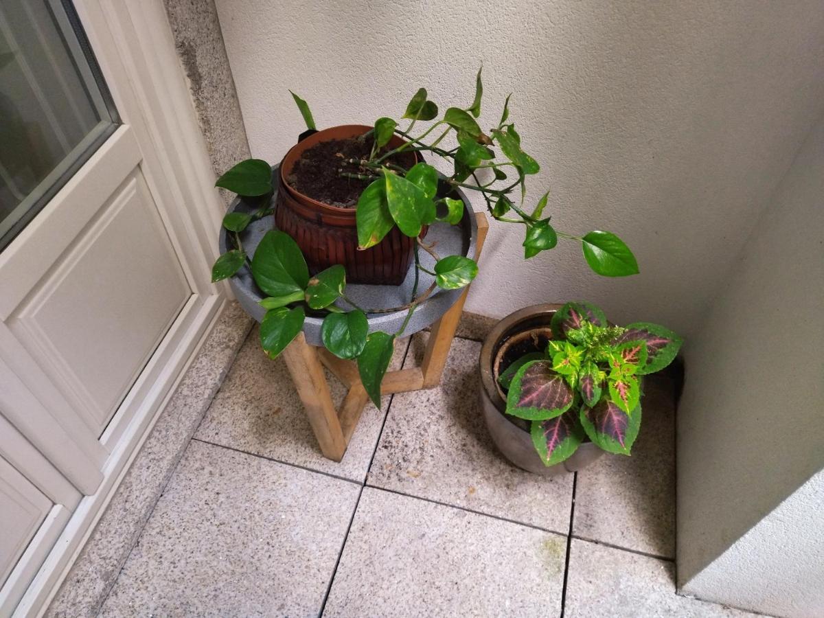 Santa Catarina Patio Apartment - With Washer Machine 波尔图 外观 照片